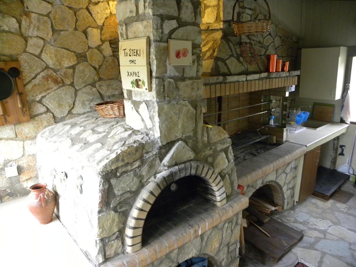 Mountain Chalet Livadi Arachova Zewnętrze zdjęcie
