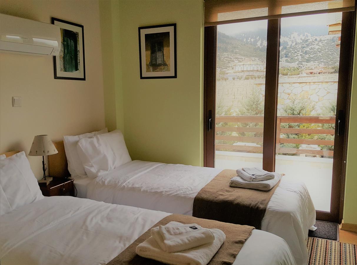 Mountain Chalet Livadi Arachova Zewnętrze zdjęcie