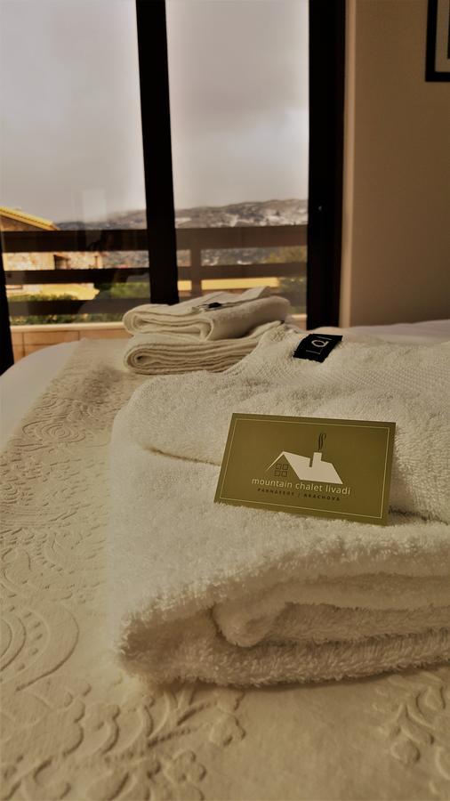 Mountain Chalet Livadi Arachova Zewnętrze zdjęcie