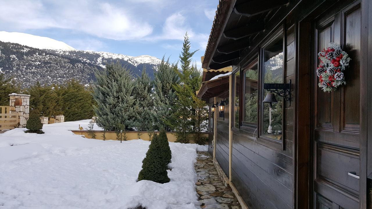 Mountain Chalet Livadi Arachova Zewnętrze zdjęcie